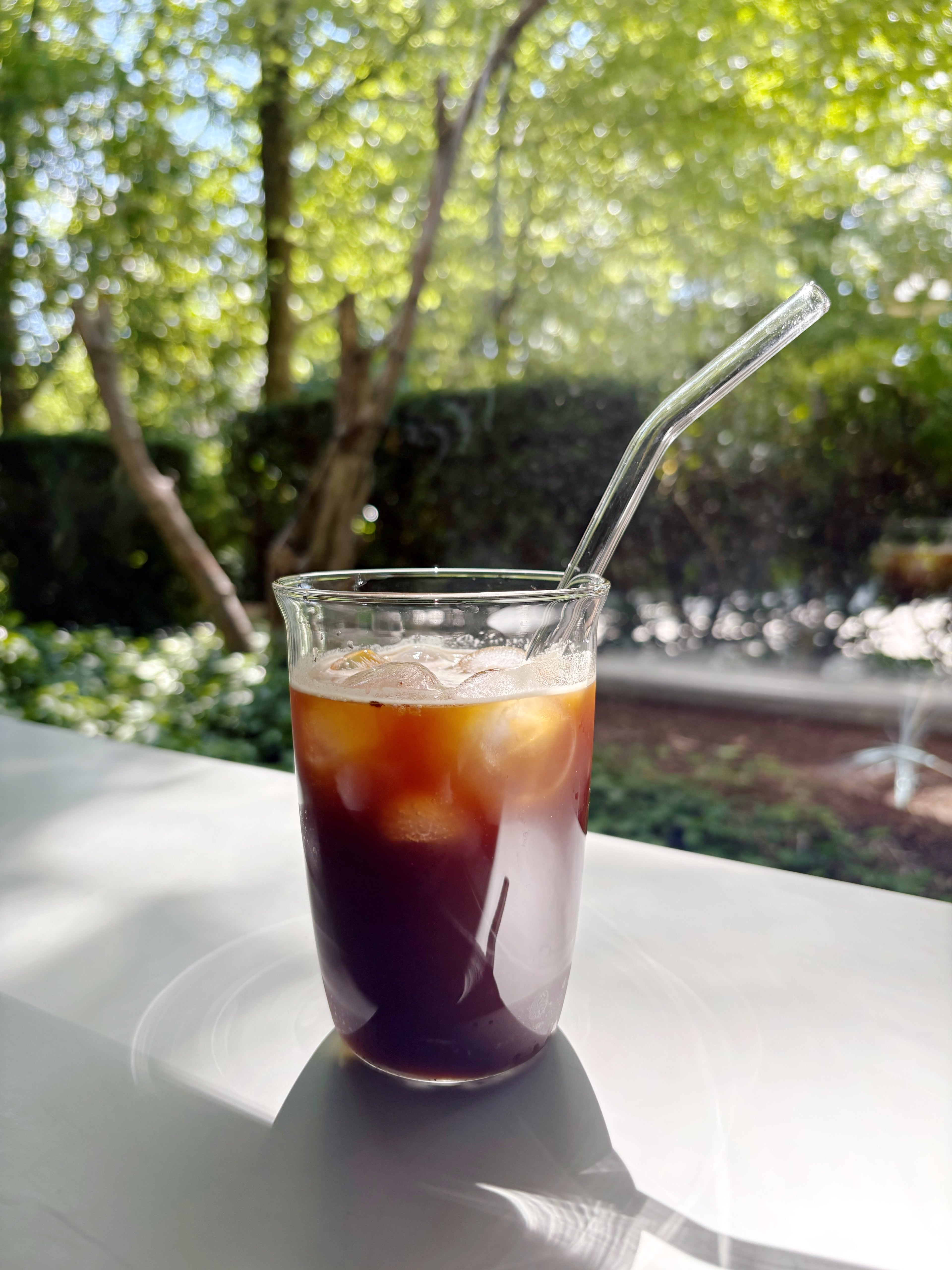 Curved Glass Straw Set (2 Pieces)