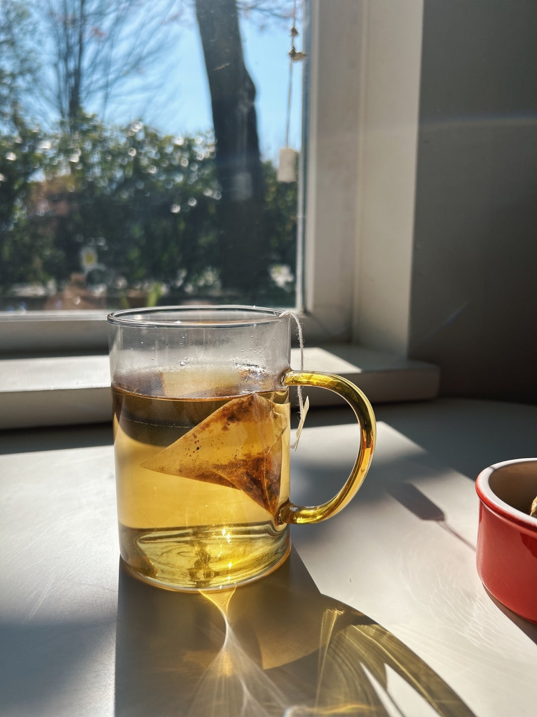 Colored Handle Glass Mug